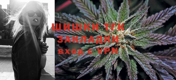 дживик Аркадак