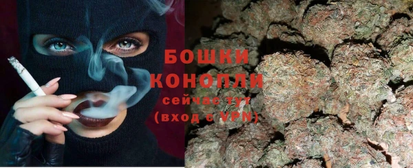 дживик Аркадак