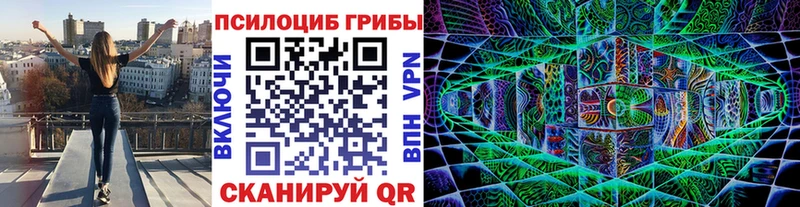 где найти Барабинск Галлюциногенные грибы Psilocybe